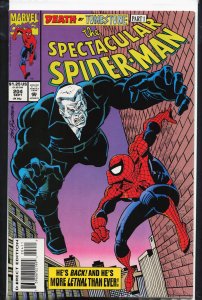 The Spectacular Spider-Man #204 (1993) Spider-Man