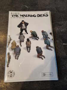 The Walking Dead #168 (2017)