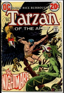 Edgar Rice Burroughs' Tarzan #214 (1972)