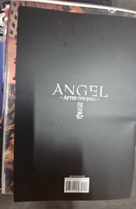 Angel After the Fall #10 RI VARIANT