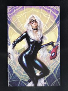 The Amazing Spider-Man #25 (2017) NM Artgerm Black Cat Virgin Variant