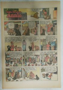 (43) Little Orphan Annie Sundays by Harold Gray from 1930 Tabloid Page Size !