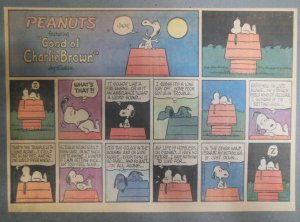 Peanuts Sunday Page by Charles Schulz from 7/23/1967 Size: ~11 x 15 inches 