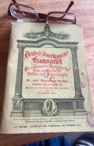 German-American house doctor, 1895