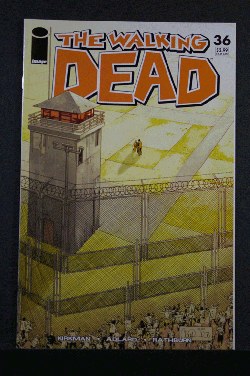 The Walking Dead #36