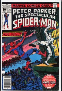 The Spectacular Spider-Man #10 (1977) Spider-Man