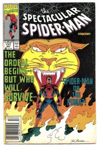 Spectacular Spider-Man #171 VINTAGE 1990 Marvel Comics