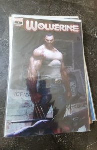 Wolverine #2 (2020) variant