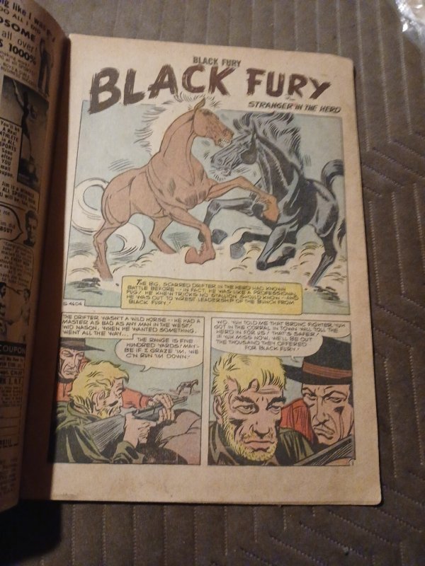 Black Fury The Wonder Horse Comic Book #17 Charlton January 1959 Silver Age Cdc