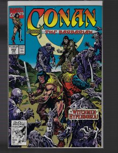 Conan the Barbarian #252 (Marvel, 1991)