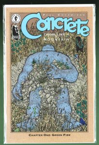 Concrete: Think Like a Mountain #1 (1996)