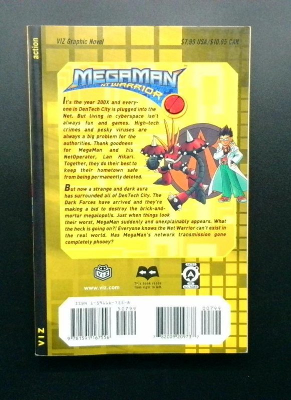 Mega Man NT Warrior #6, Viz