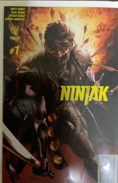 Ninjak #1-14 plus variants  (2015) 35 Issues all High Grade