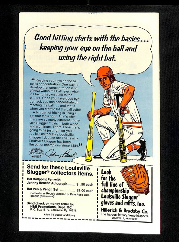 Howard the Duck #25 NM- 9.2