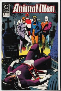 Animal Man #16 (1989) Animal Man