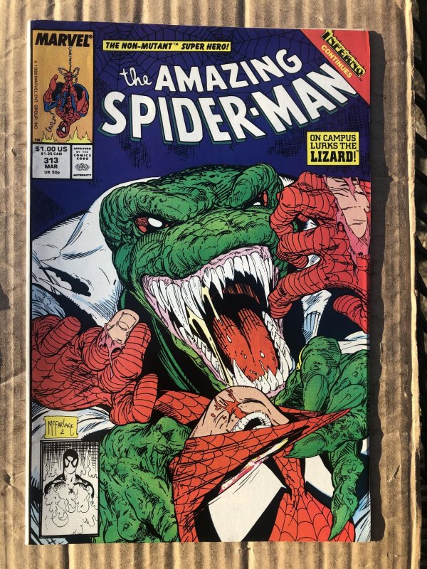 The Amazing Spider-Man #313 (1989)