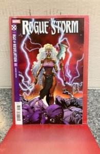 Rogue Storm#1variant