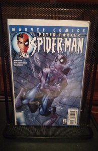 Peter Parker: Spider-Man #37 (2002)