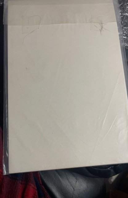 The Spectacular Spider-Man #135 (1988)