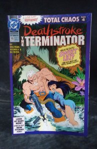 Deathstroke the Terminator #15 (1992)