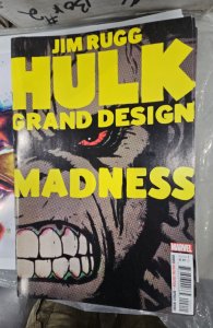 Hulk Grand Design: Madness (2022) #2