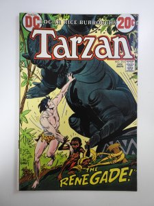 Tarzan #216 (1973)
