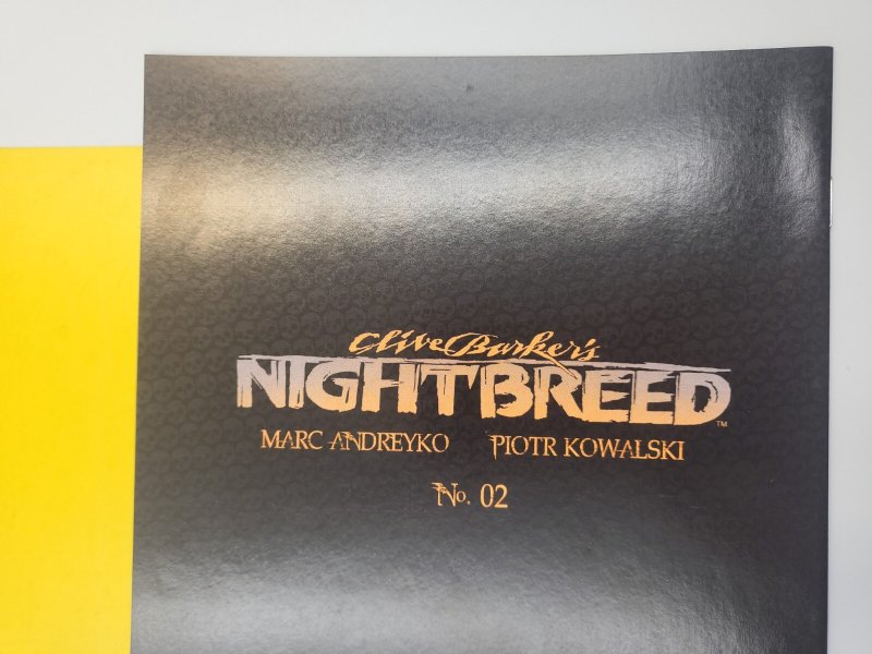 Clive Barker's Nightbreed #2 Christopher Mitten Virgin 1:10 Variant 2014 Boom!