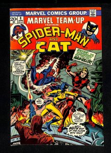 Marvel Team-up #8 Spider-Man The Cat!