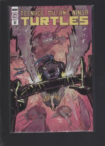 Teenage Mutant Ninja Turtles #116 RI Cover