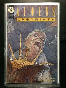 Aliens: Labyrinth #3 (1993)