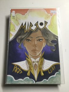 Mirror #5 (2016)