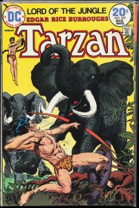 Edgar Rice Burroughs' Tarzan #229 (1974)