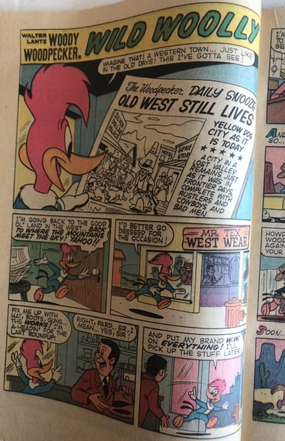 Walter Lantz Woody Woodpecker #131, 1973,C all my vast selection B4 Xmas!!