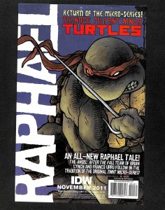 Teenage Mutant Ninja Turtles (2011) #4 Fred Hembeck Variant