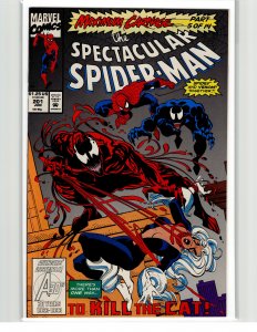 The Spectacular Spider-Man #201 (1993) Spider-Man