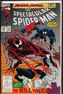 The Spectacular Spider-Man #201 (1993) Spider-Man