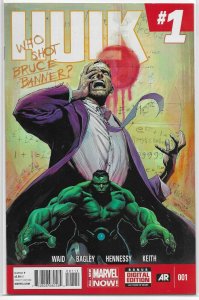 Indestructible Hulk #1,3-5,7-20; Hulk V3 #1-16 + Annuals Waid, comics lot of 37