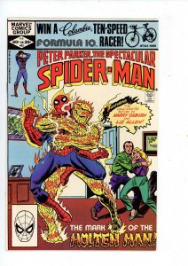 The Spectacular Spider-Man #63 (1982) Spider-Man Marvel Comics