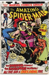 The Amazing Spider-Man #118 (1973) Spider-Man