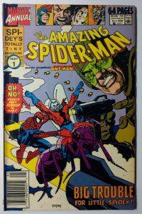 Amazing Spider-Man Annual #24 (6.0, 1990)
