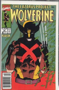 Wolverine #29 (1990) Wolverine