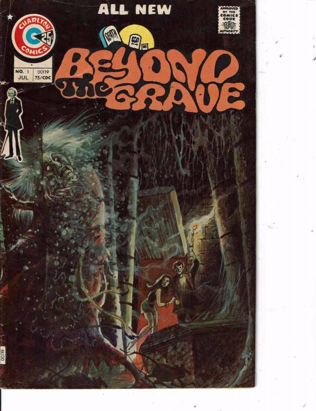 Lot Of 2 Comic Books Charlton Beyond Grave #1 and Bananaland The Bird #1   MS12