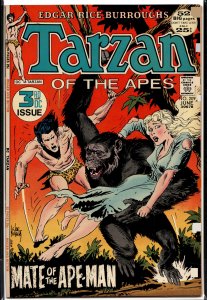 Edgar Rice Burroughs' Tarzan #209 (1972)
