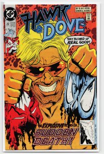 Hawk and Dove #22 (1991) Hawk & Dove