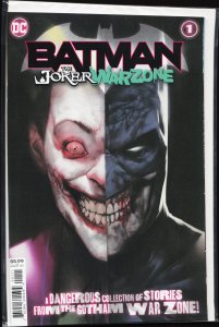 Batman: The Joker War Zone (2020) Batman
