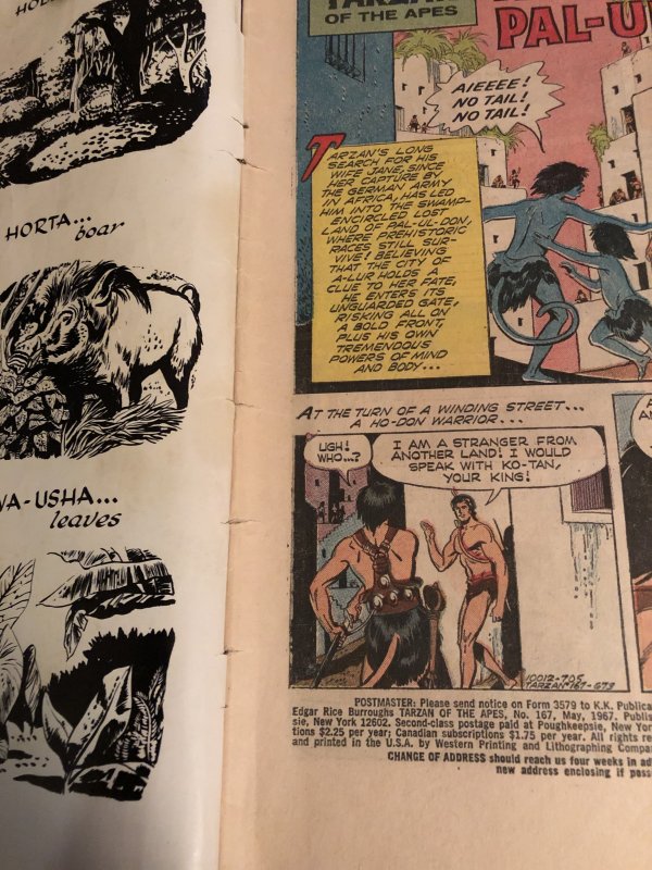 Tarzan # 167,manning art, fill a hole  in a run?