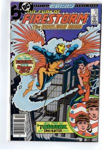 The Fury of Firestorm #42 (1985)