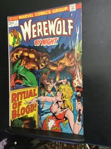 Werewolf by Night #7  (1973) Mid-high-grade Carnival! Poog art! FN/VF Wow