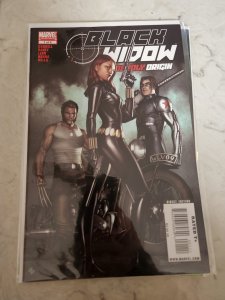 Black Widow: Deadly Origin #1 Tom Raney Variant Cover (2010)