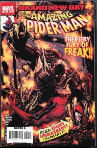 The Amazing Spider-Man #554 (2008)
